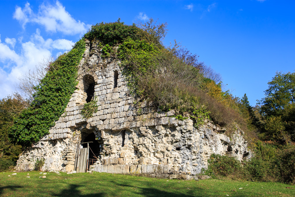 Miusera